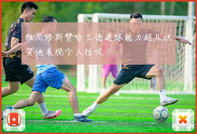 维尼修斯赞哈兰德进球能力超凡祝贺他表现令人惊叹